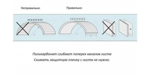 Теплица своими руками размеры. Особенности теплиц из поликарбоната