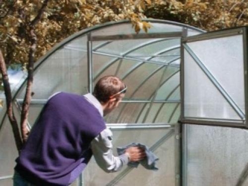 Обработка теплицы хозяйственным мылом весной. Чем обработать теплицу из поликарбоната? 02