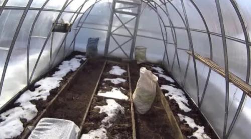 Чем помыть теплицу из поликарбоната осенью. Чем помыть теплицу из поликарбоната внутри осенью