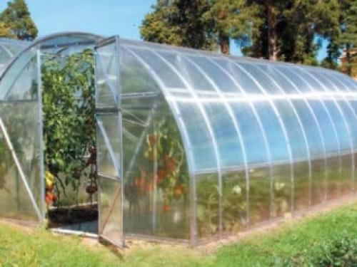 Обработка теплицы хозяйственным мылом весной. Чем обработать теплицу из поликарбоната? 01