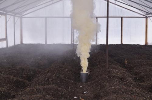 8 способов обеззаразить стенки и почву в теплице. Как обработать и обеззаразить землю в теплице: способы обработки 04