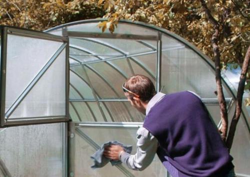 Чем дезинфицировать теплицу весной. Особенности подготовки теплицы весной