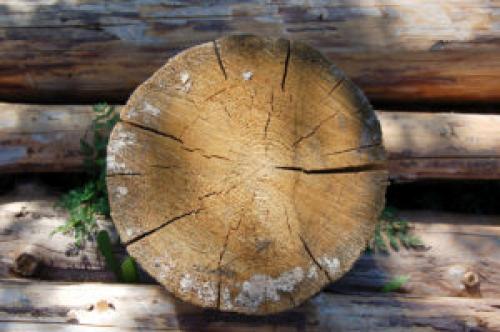 Как избежать проблем с влагой и грибком при утеплении старого деревянного дома. Устранение плесени и грибка