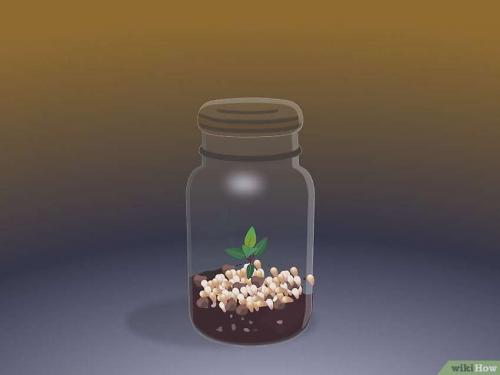 Как самому сделать теплицу из поликарбоната от А до.. Что собой представляет сотовый поликарбонат 10