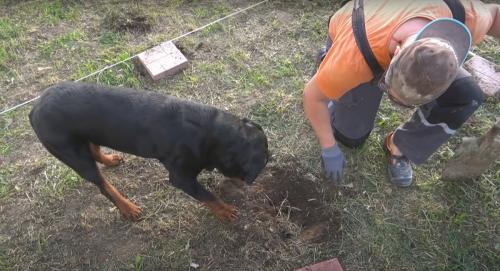 ПЕЧЬ+МАНГАЛ+КАМИН для беседки своими руками. Виды печей и барбекю для беседок 10