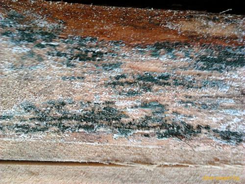 Какие ошибки чаще всего допускаются при строительстве каркасного дома из OSB. Проблема №3: утеплители и пленки