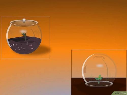 Как сделать теплицу своими руками. Простейшая теплица из пластиковых труб 15