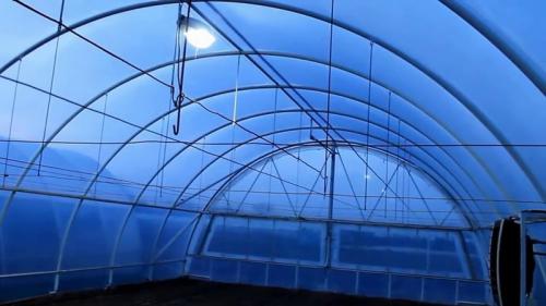 Теплицы своими руками: самые лучшие проекты. Теплицы своими руками виды и формы