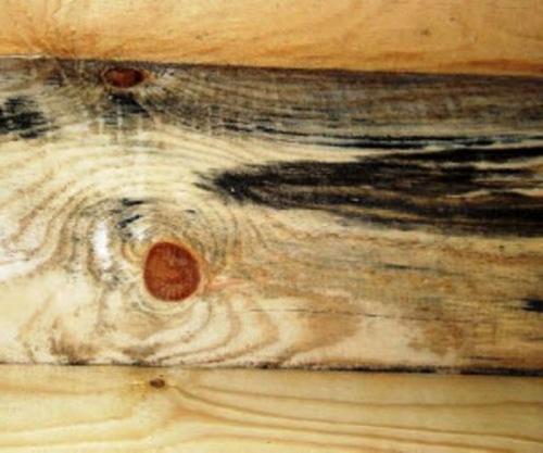 Как утеплить стены снаружи в частном доме. Преимущества технологии утепления с внешней стороны: 14