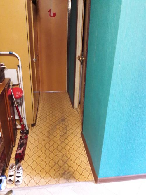 Покраска плинтуса в цвет стен. помогите с цветом плинтуса!