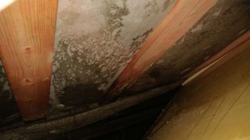 Можно ли использовать пенопласт для утепления деревянного дома снаружи. Утеплитель пенопласт влаге выхода не даст! Или почему экструдированный полистирол нельзя использовать для утепления деревянных домов   1