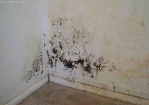 Нюансы утепления стены дома снаружи пенопластом. Как правильно утеплить дом пенопластом снаружи 11 Нюансы утепления стены дома снаружи пенопластом. Как правильно утеплить дом пенопластом снаружи 11