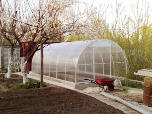 Как подготовить теплицу из поликарбоната к весенним посадкам: пошаговая инструкция 01