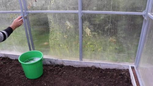 Как чистка теплицы улучшает условия для роста растений. Ша.  Очистка теплицы