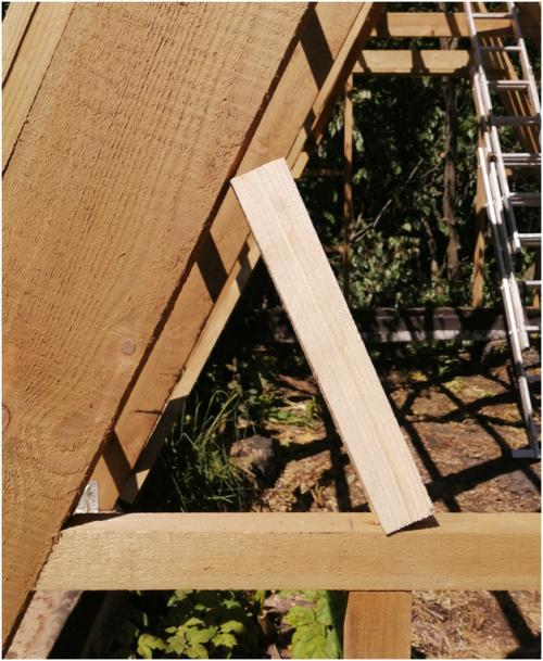 Как обработать деревянные конструкции теплицы перед посадками. Защита деревянного каркаса теплицы от биопоражения