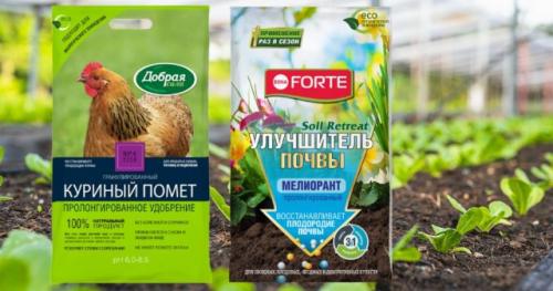 Как очистить почву внутри теплицы перед посадкой. Внесение удобрений