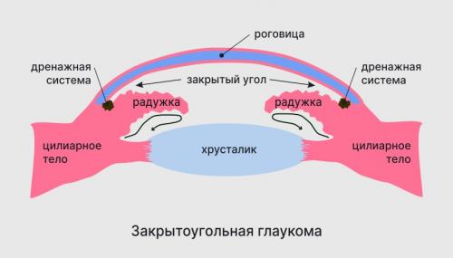 Опасность синего света: как он влияет на здоровье ваших глаз 01 Опасность синего света: как он влияет на здоровье ваших глаз 01
