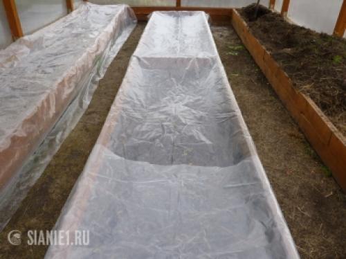 Полное руководство по обработке теплицы весной без замены почвы 07 Полное руководство по обработке теплицы весной без замены почвы 07