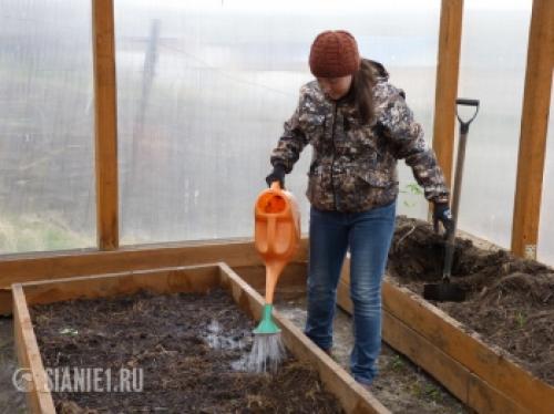 Полное руководство по обработке теплицы весной без замены почвы 06 Полное руководство по обработке теплицы весной без замены почвы 06