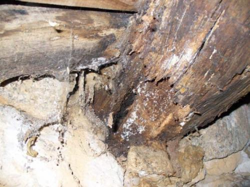 Замена деревянного пола в квартире. Проблемы, с которыми можно столкнуться при ремонте деревянного пола и их решение