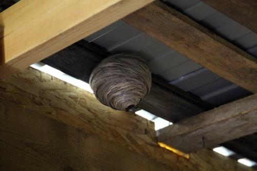 Как нестандартное крыльцо может преобразить экстерьер загородного дома 03 Как нестандартное крыльцо может преобразить экстерьер загородного дома 03