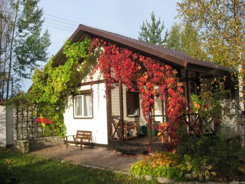 Какие растения лучше всего подходят для украшения крыльца. Лучшие вьющиеся растения для крыльца