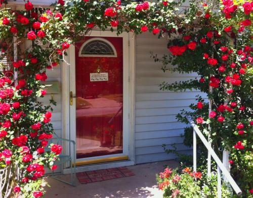 Какие растения лучше всего подходят для украшения крыльца. Лучшие вьющиеся растения для крыльца