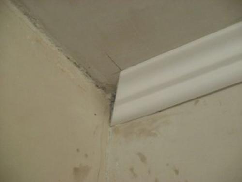 Как установить пластиковый плинтус На ламинат. Как закрепить плинтуса к ламинату: советы опытных ремонтников