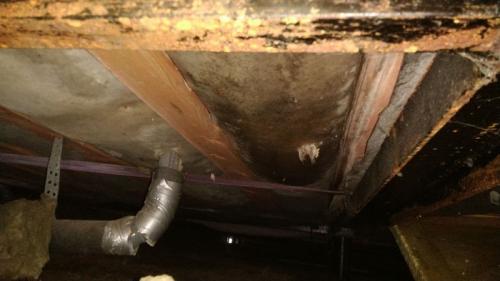 Утепление каркасного дома экструдированным пенополистиролом. Утеплитель пенопласт влаге выхода не даст! Или почему экструдированный полистирол нельзя использовать для утепления деревянных домов