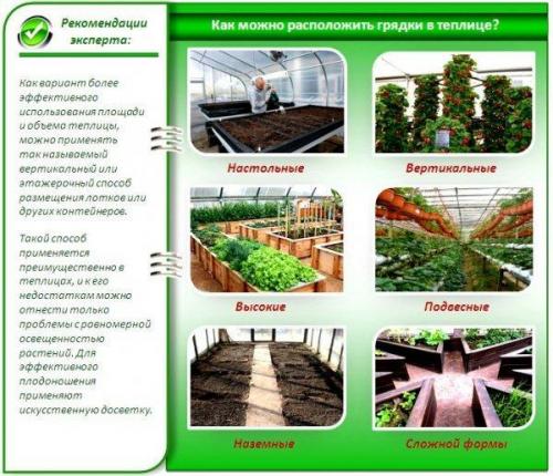 Обустройство теплицы 3 н.  Организация пространства