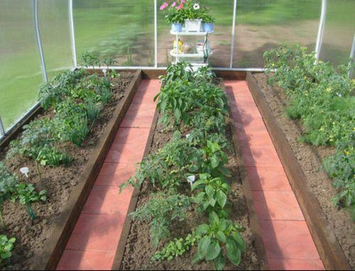 Теплица, как обустроить внутри. Варианты обустройства теплицы из поликарбоната внутри