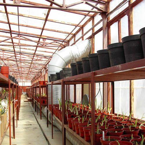 Теплица, как обустроить внутри. Варианты обустройства теплицы из поликарбоната внутри