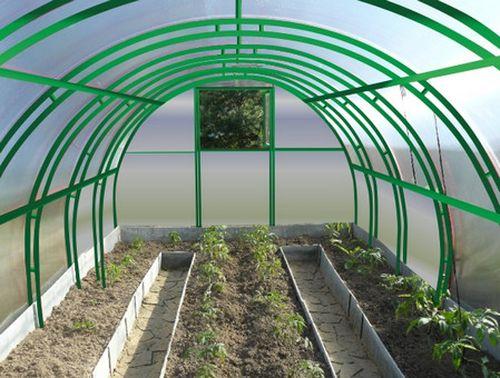 Теплица, как обустроить внутри. Варианты обустройства теплицы из поликарбоната внутри