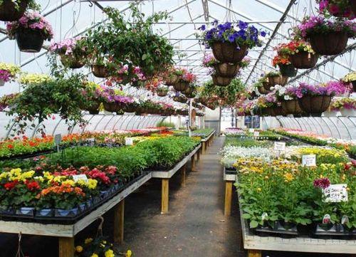 Теплица, как обустроить внутри. Варианты обустройства теплицы из поликарбоната внутри