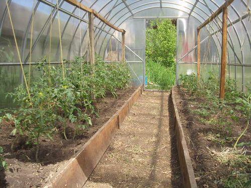 Теплица, как обустроить внутри. Варианты обустройства теплицы из поликарбоната внутри