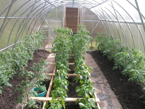 Обустройство теплицы 3 н.  Лучшие идеи планировки расположения грядок в теплице 3 на 4: чертежи, размеры, оптимальное расходование пространства