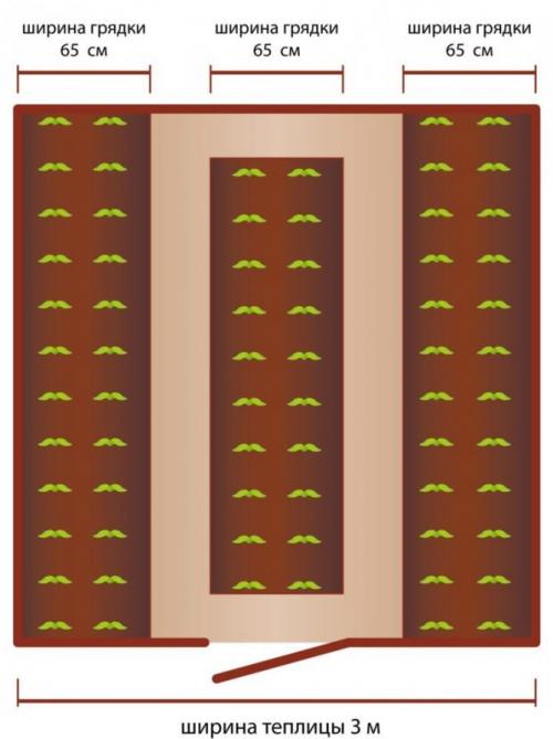 Обустройство теплицы снаружи. Обустройство внутреннего пространства теплицы: как правильно сделать?