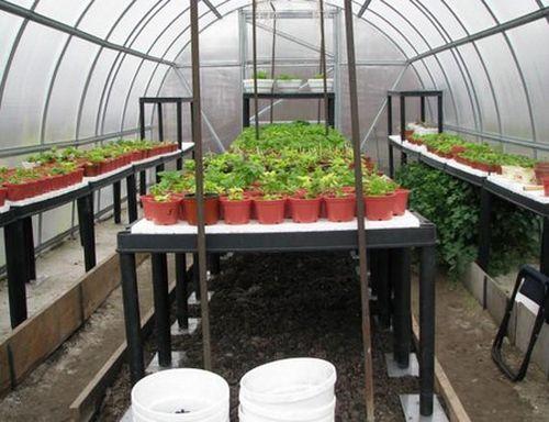 Теплица, как обустроить внутри. Варианты обустройства теплицы из поликарбоната внутри