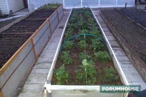 Что положить на дно грядки в теплице. Высокие грядки