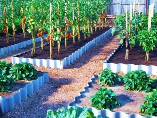 Дешевый чем огородить грядки в теплице. Как недорого огородить грядки
