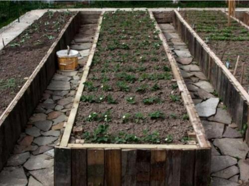 Дешевый чем огородить грядки в теплице. Как недорого огородить грядки