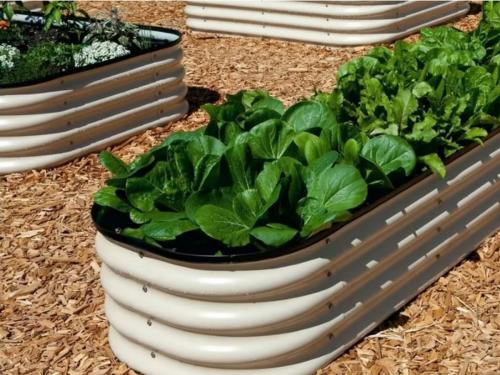 Дешевый чем огородить грядки в теплице. Как недорого огородить грядки