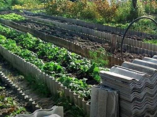 Дешевый чем огородить грядки в теплице. Как недорого огородить грядки