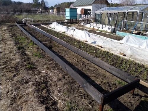 Дешевый чем огородить грядки в теплице. Как недорого огородить грядки