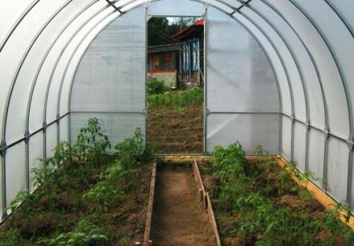 Как обустроить теплицу 3 на 6 внутри. Лучшие идеи планировки расположения грядок в теплице 3 на 6: чертежи, размеры, оптимальное расходование пространства