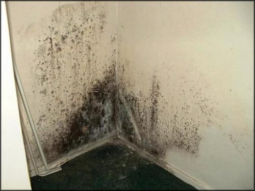 Как сделать вентиляцию на даче. Зачем на даче устанавливать вентиляционную систему