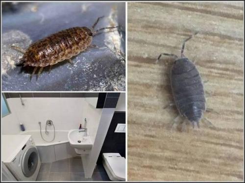 Как сделать вентиляцию на даче. Зачем на даче устанавливать вентиляционную систему