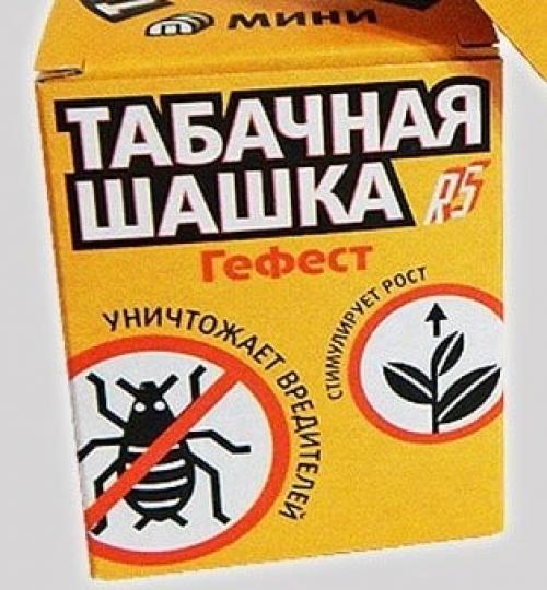 Чем помыть теплицу весной. Чем обработать весной внутри теплицу из поликарбоната