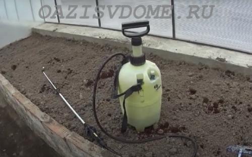 Чем помыть теплицу весной. Чем обработать весной внутри теплицу из поликарбоната