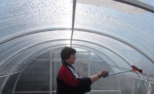 Как помыть теплицу. Пошаговая инструкция, как и чем обработать теплицу из поликарбоната осенью